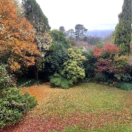 Appartamento Mountain Sojourn - Tranquil Kurrajong Getaway Esterno foto