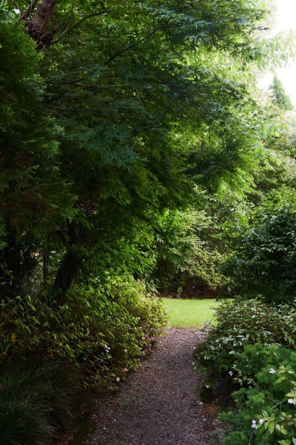 Appartamento Mountain Sojourn - Tranquil Kurrajong Getaway Esterno foto